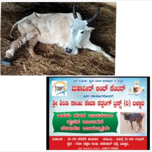 WhatsApp Image 2025-02-21 at 5.13.15 PM