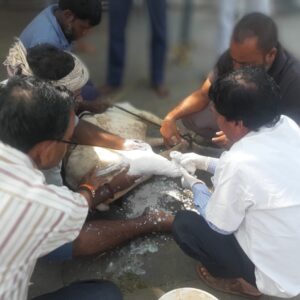 WhatsApp Image 2025-02-21 at 5.14.08 PM