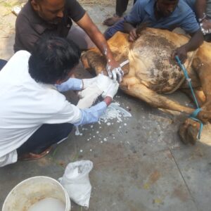 WhatsApp Image 2025-02-21 at 5.14.09 PM